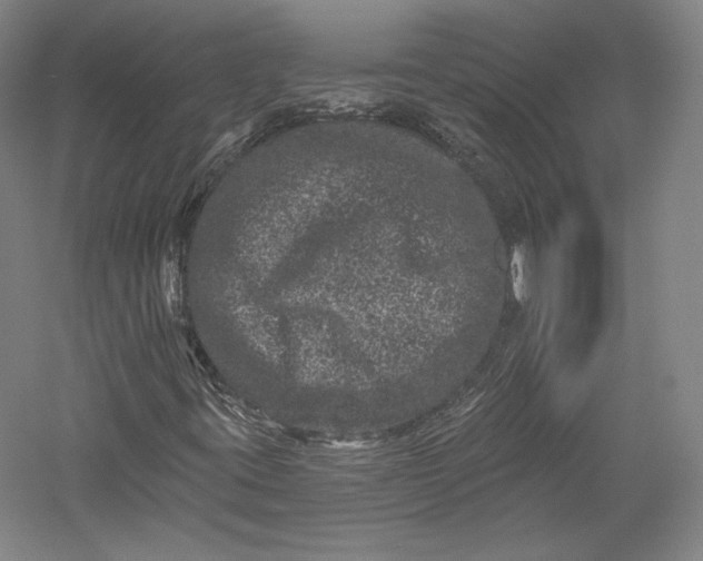 X0000055971395200509091432