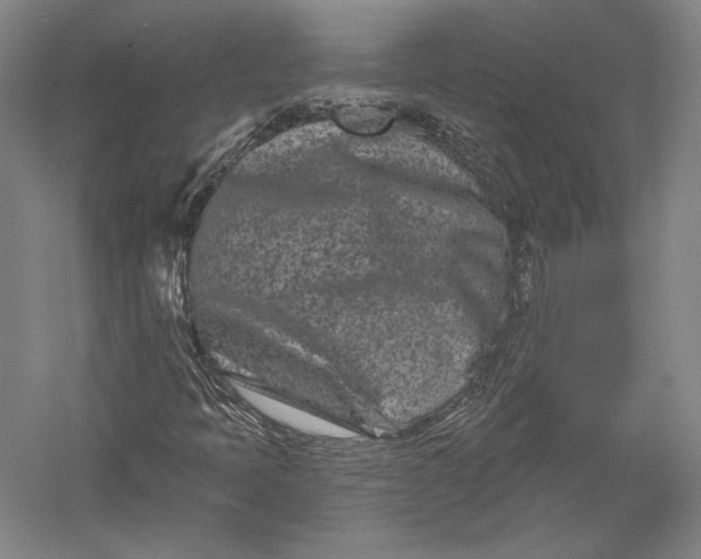 X0000055971397200509091432