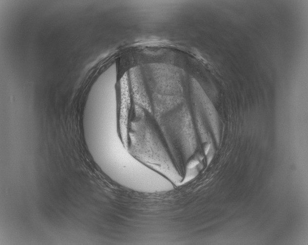 X0000055971398200509091432