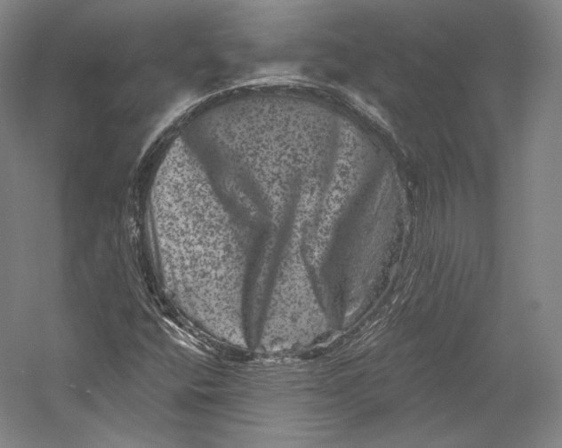 X0000055971400200509091432