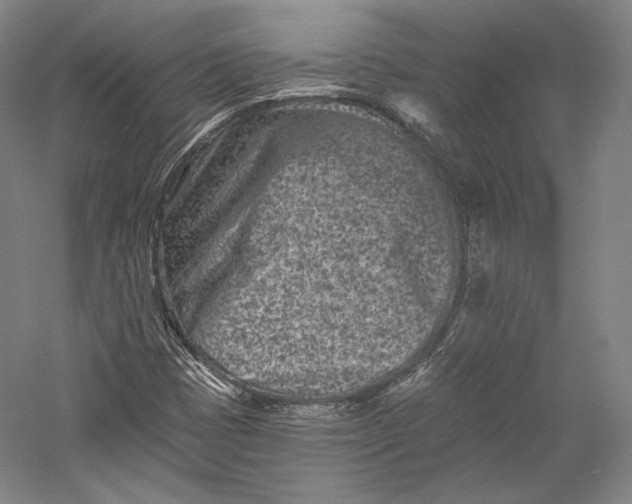 X0000055971401200509091432