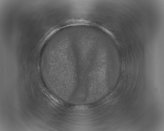 X0000055971407200509091432