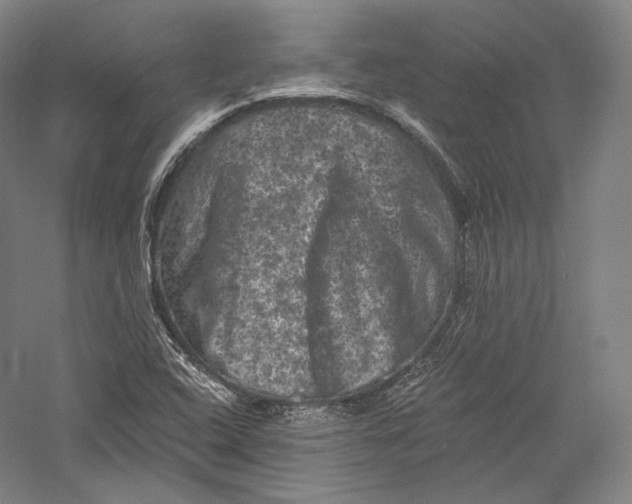 X0000055971408200509091432