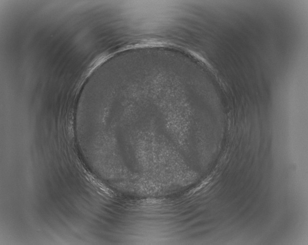 X0000055971409200509091432