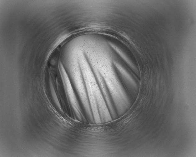 X0000055971410200509091432