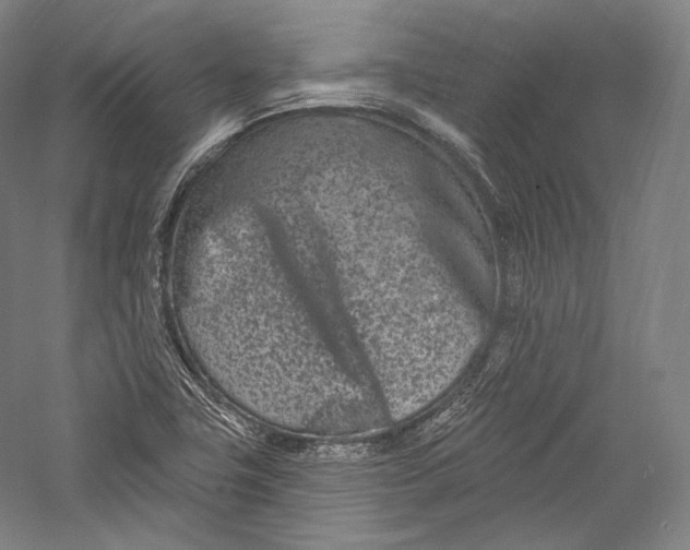 X0000055971411200509091432