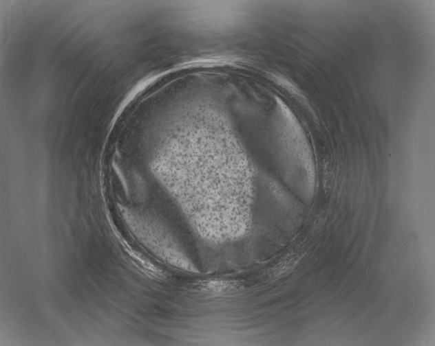 X0000055971412200509091432