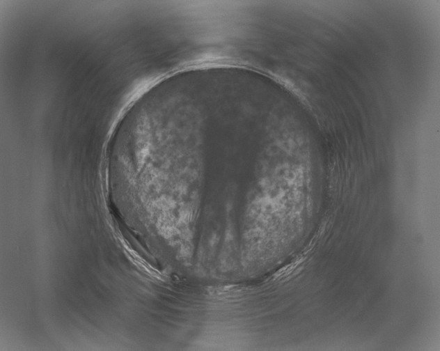 X0000055971413200509091432