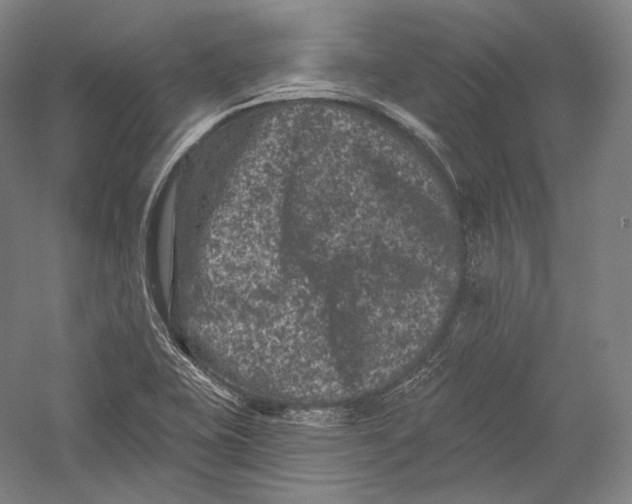 X0000055971415200509091432