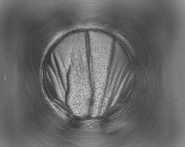 X0000055971416200509091432