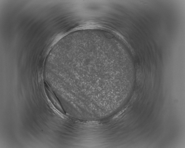 X0000055971417200509091432