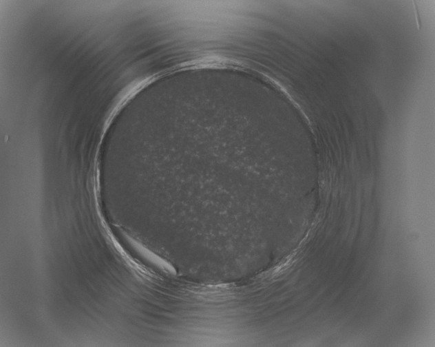 X0000055971418200509091432