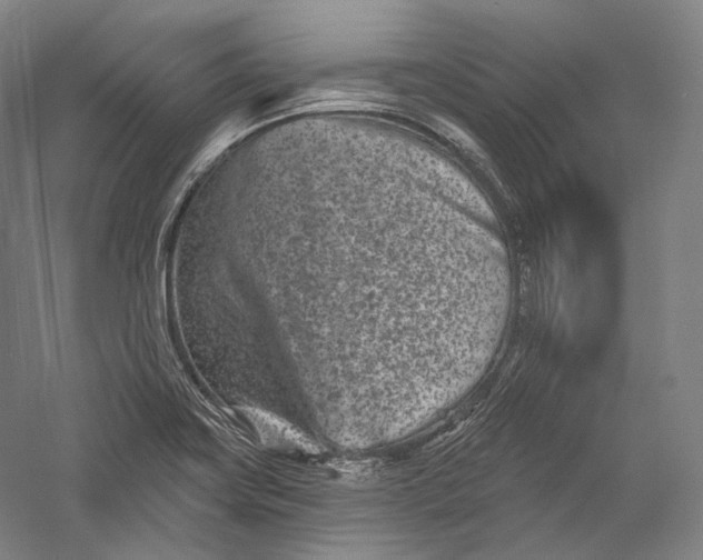 X0000055971419200509091432