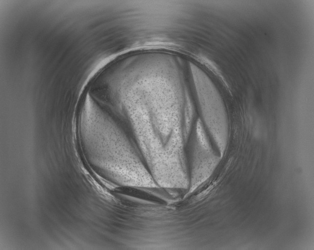 X0000055971420200509091432