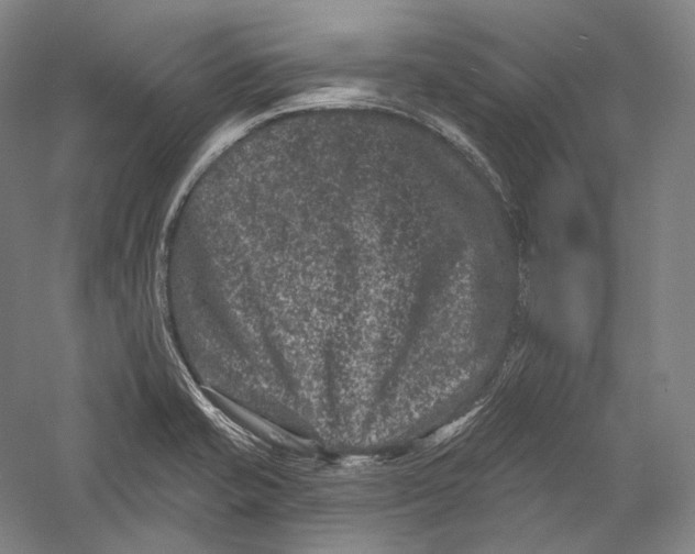 X0000055971421200509091432