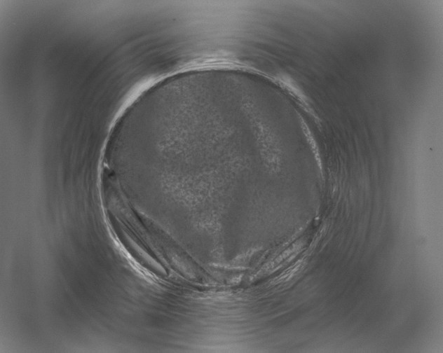 X0000055971422200509091432