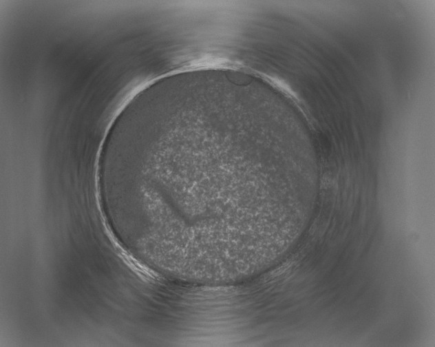 X0000055971423200509091432