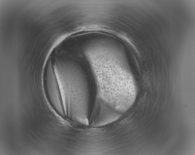 X0000055971424200509091432