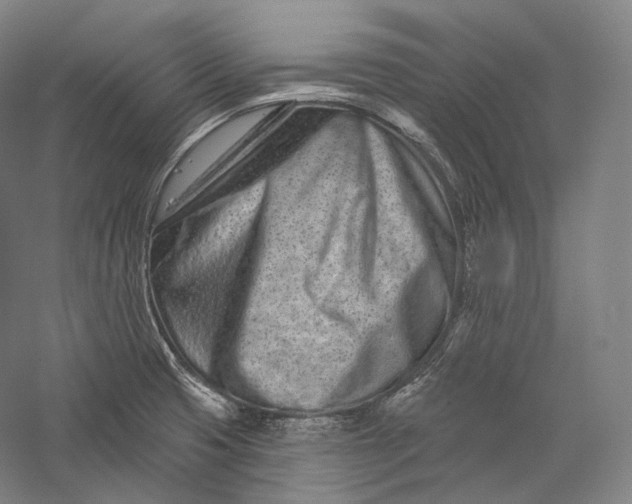 X0000055971425200509091432