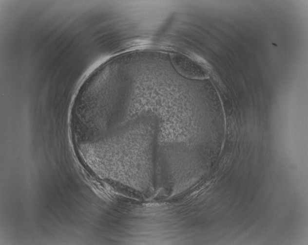 X0000055971427200509091432