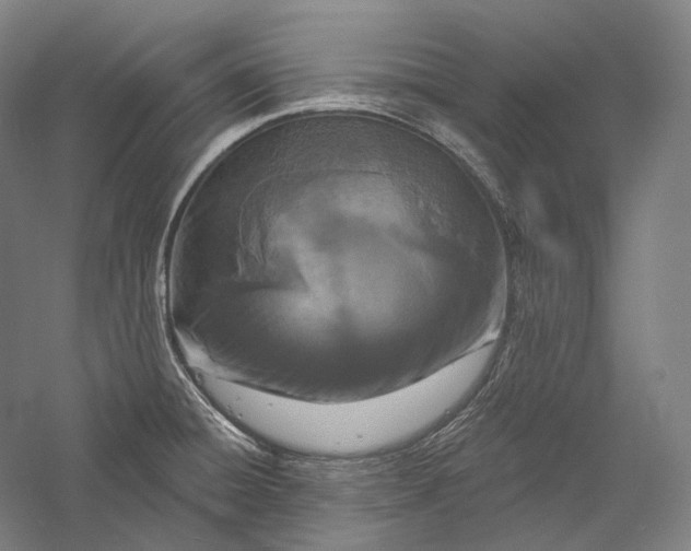 X0000055971428200509091432