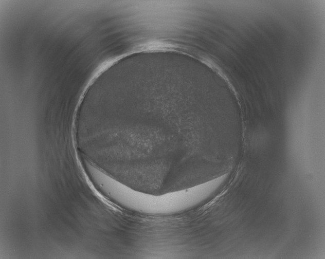 X0000055971429200509091432