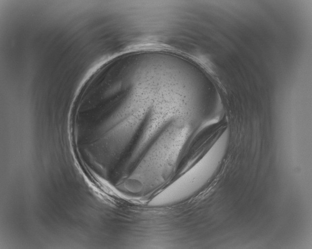 X0000055971430200509091432