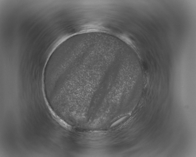 X0000055971431200509091432