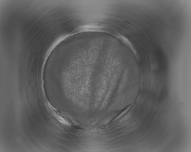 X0000055971435200509091432