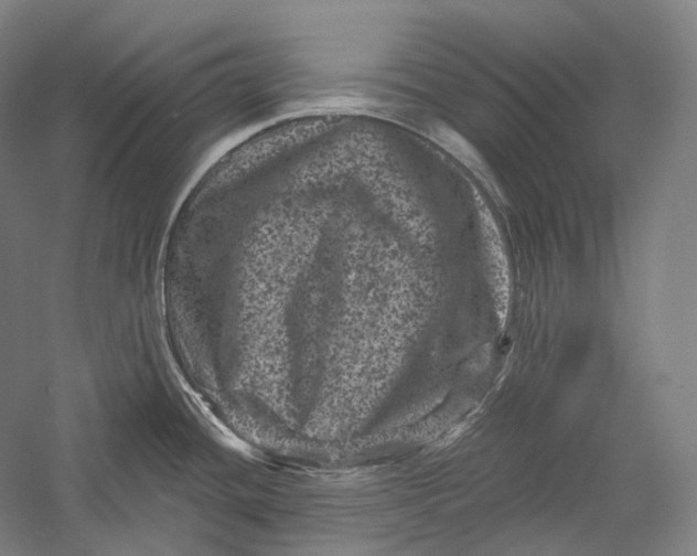 X0000055971436200509091432