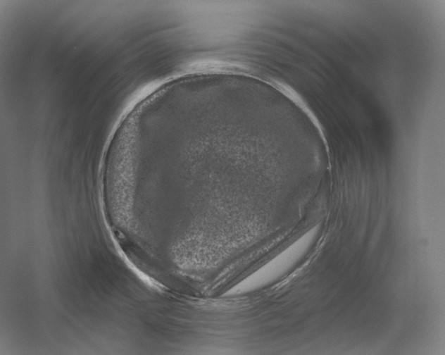 X0000055971437200509091432