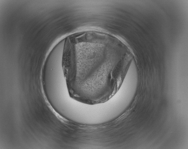 X0000055971438200509091432