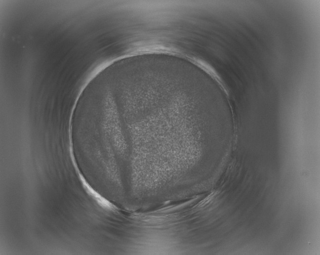 X0000055971439200509091432