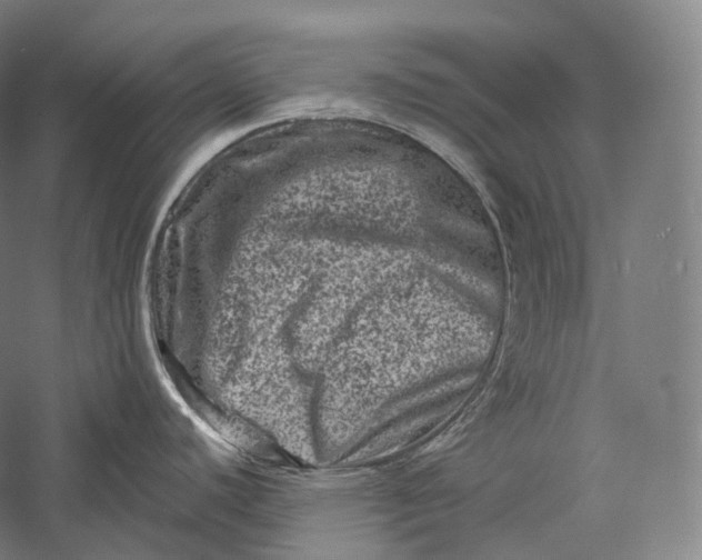 X0000055971440200509091432