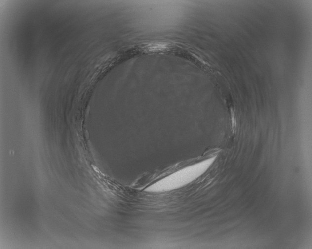 X0000055971441200509091432