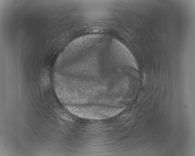 X0000055971442200509091432