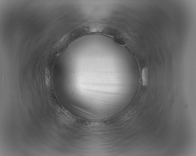 X0000055971443200509091431