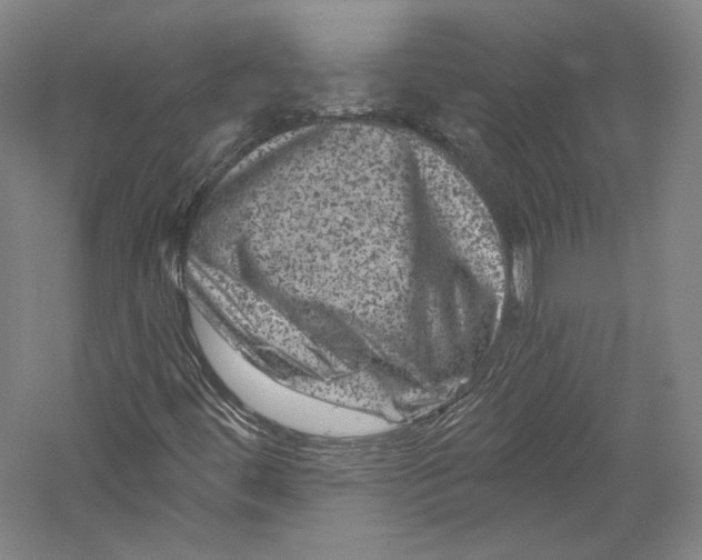 X0000055971444200509091431