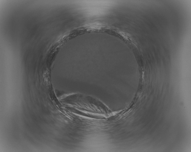 X0000055971445200509091431