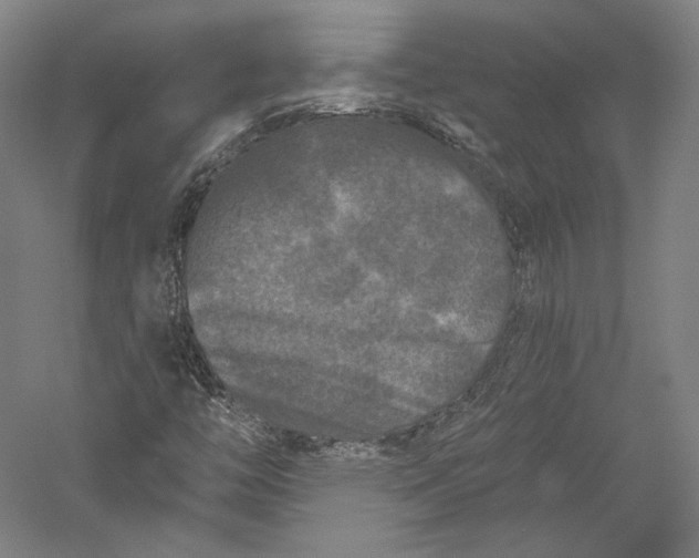 X0000055971446200509091431