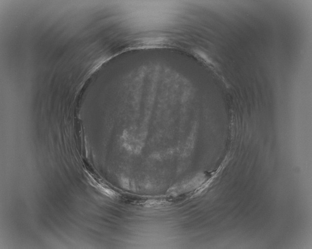 X0000055971449200509091431
