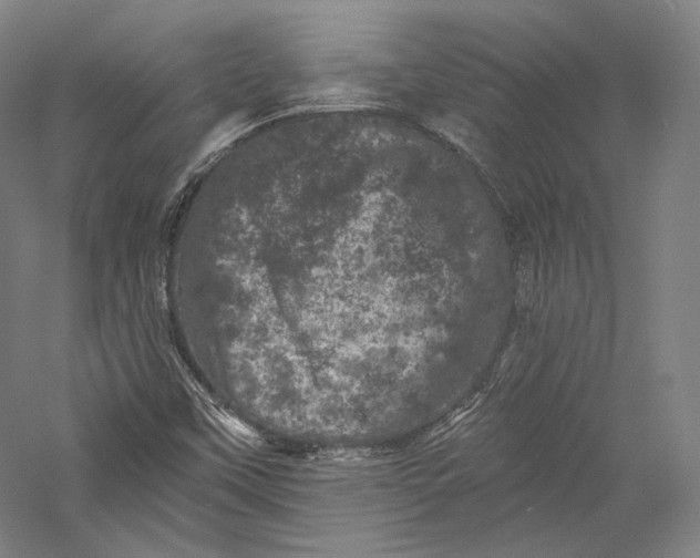 X0000055971451200509091431