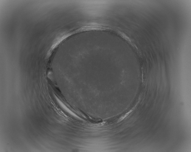 X0000055971453200509091431