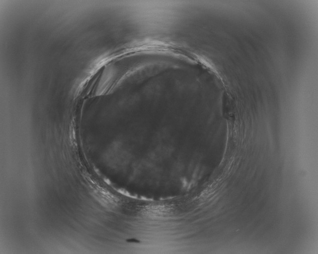 X0000055971455200509091431