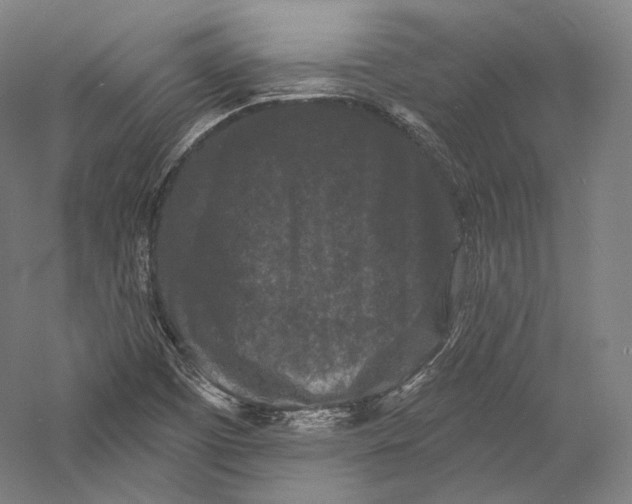 X0000055971457200509091431