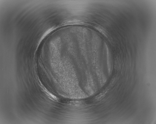 X0000055971458200509091431