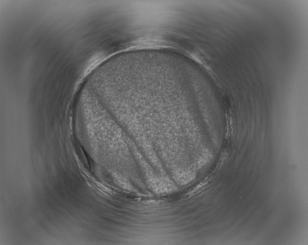 X0000055971459200509091431