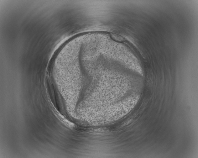 X0000055971460200509091431