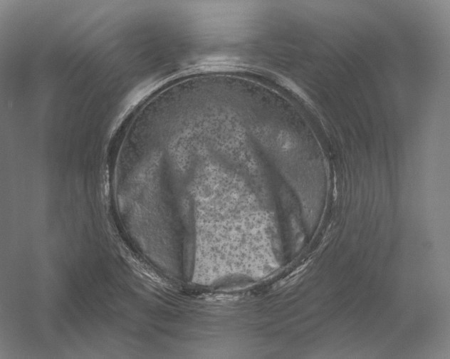 X0000055971461200509091431