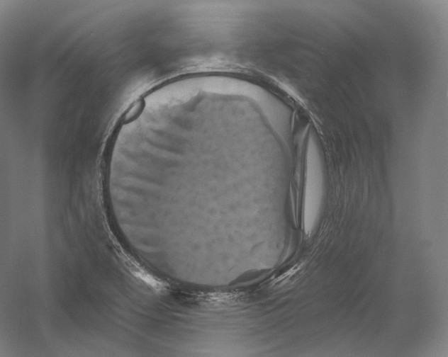 X0000055971463200509091431